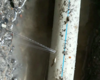 东山卫生间测漏水多少钱
